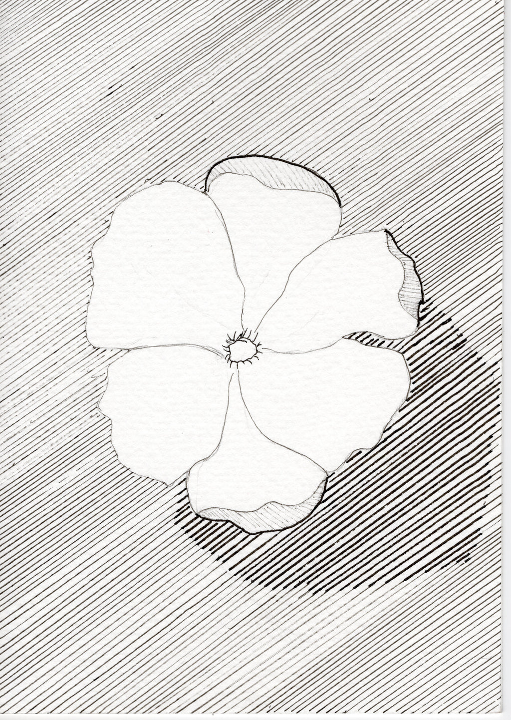 "Thinking of You" - Art print card