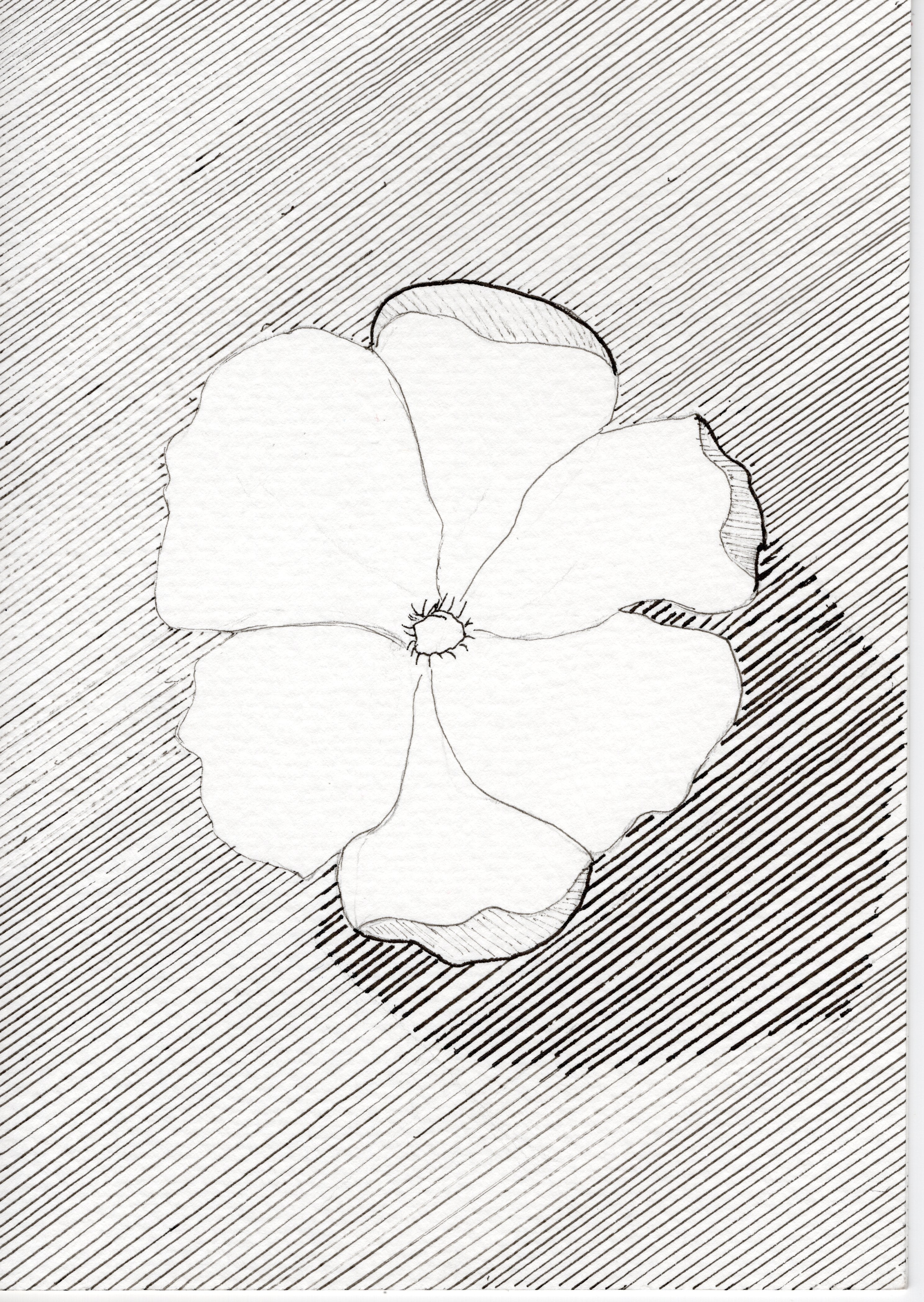 "Thinking of You" - Art print card