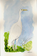 Egret