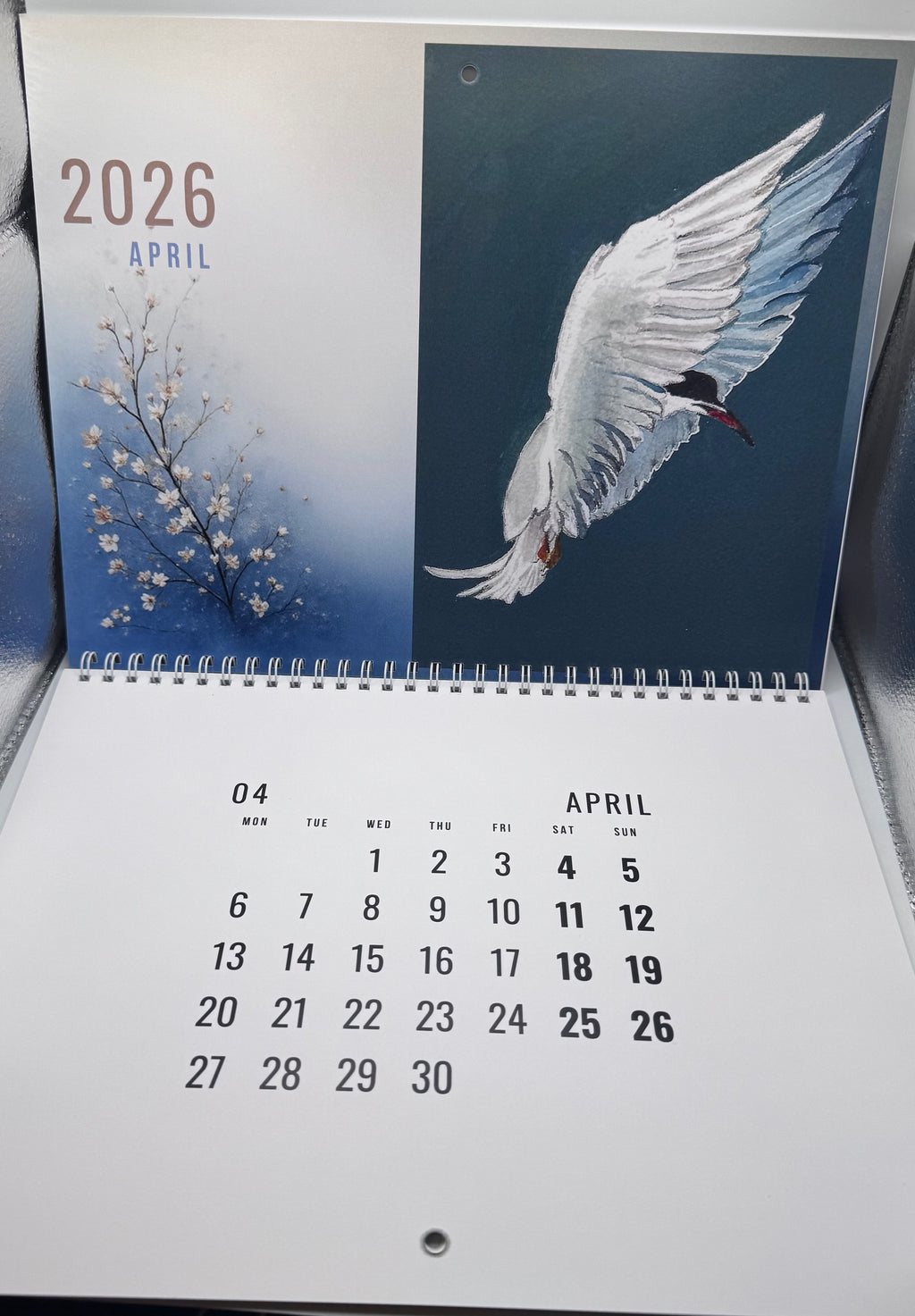 2026 Wall Calendar - Of Wings