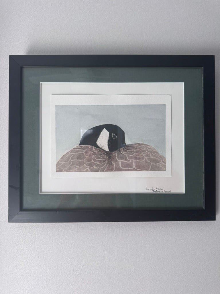 'Canada Goose At Rest' -Fine Art Watercolour Print (Framed or Unframed)