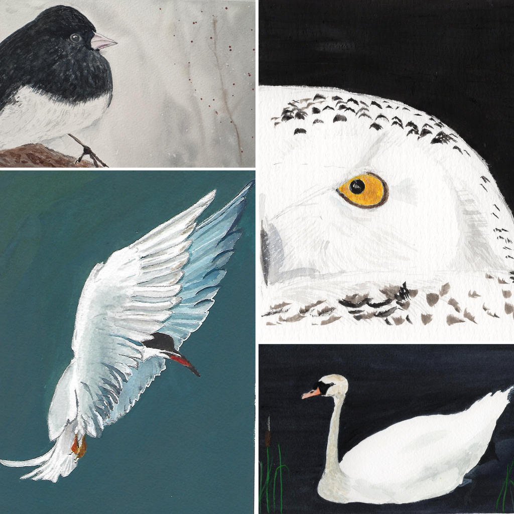 2026 Wall Calendar - Of Wings