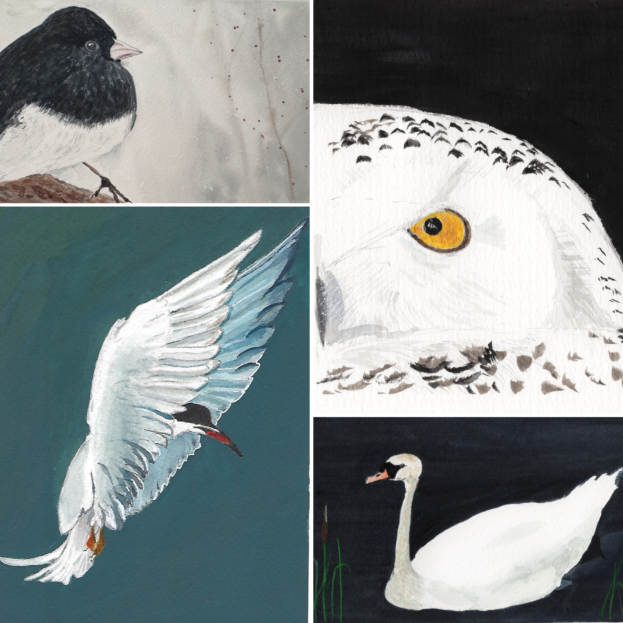 2026 Wall Calendar - Of Wings