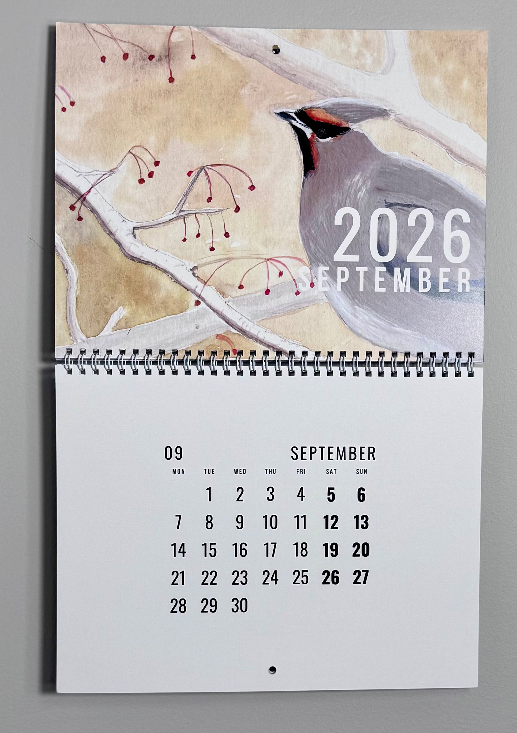 2026 Wall Calendar - Of Wings