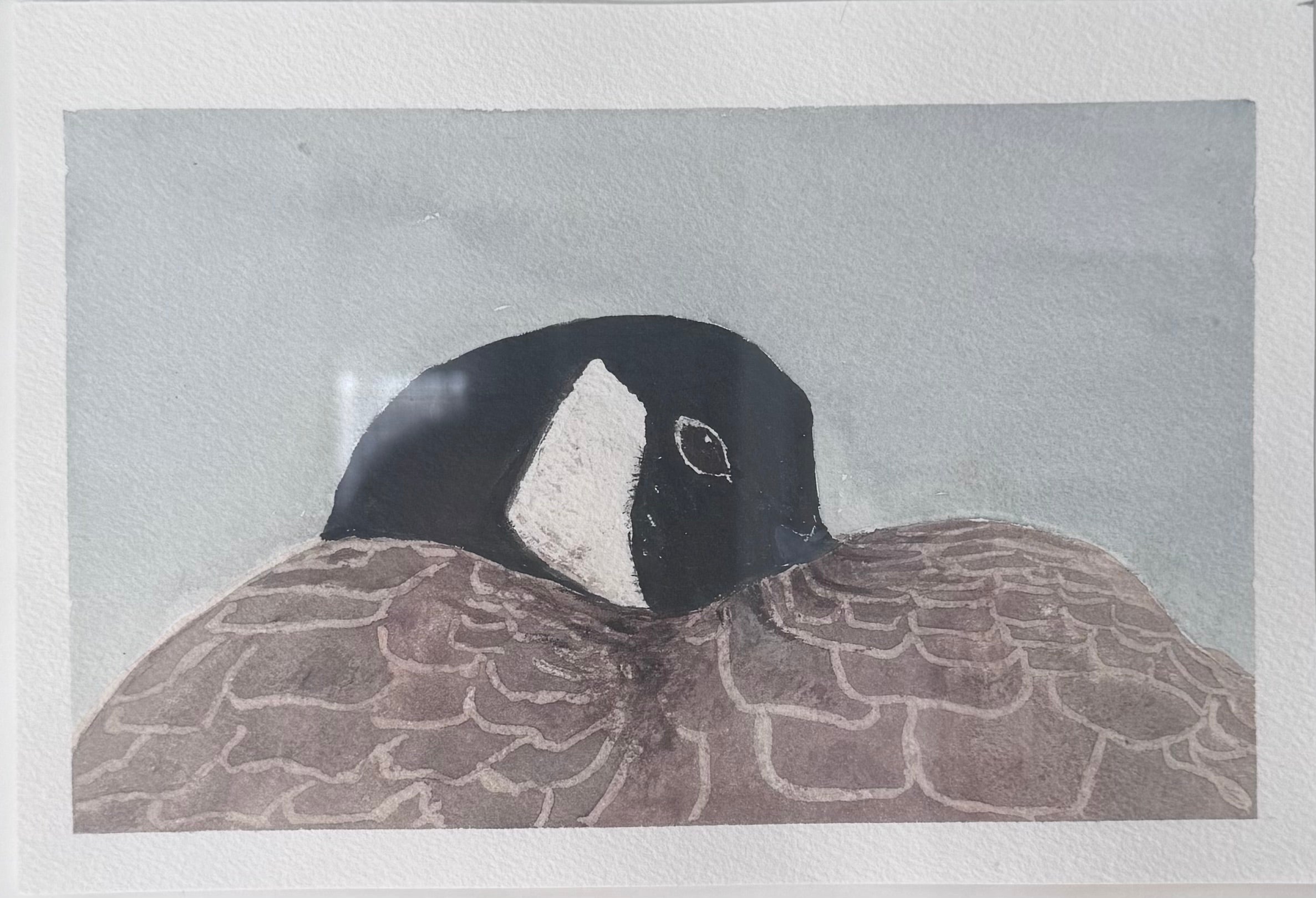 'Canada Goose At Rest' -Fine Art Watercolour Print (Framed or Unframed)
