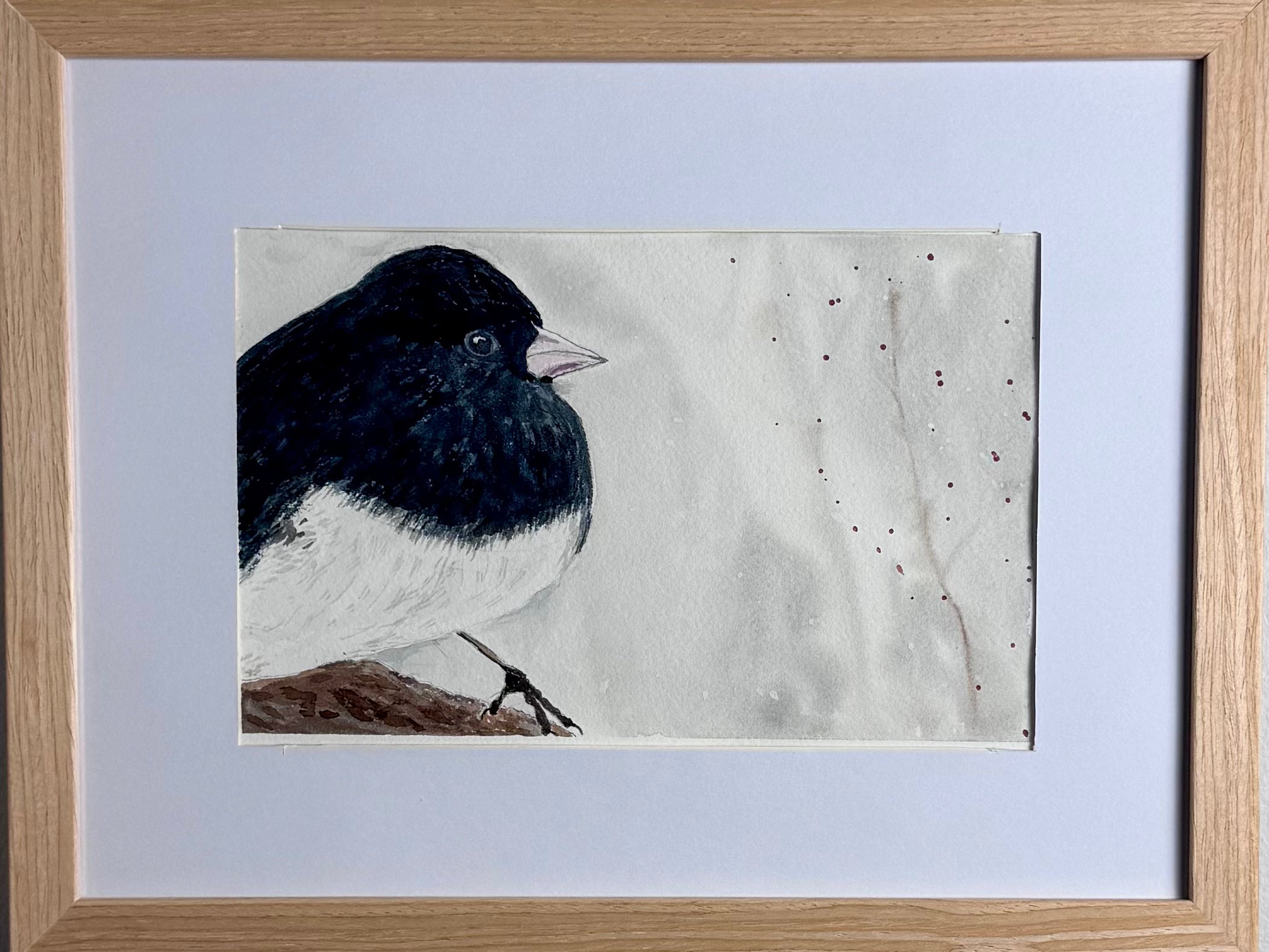 Junco - Framed Watercolour Art Print